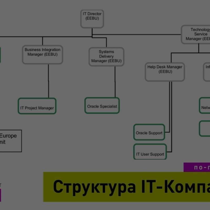 Функциональная структура и должности в IT-Компании